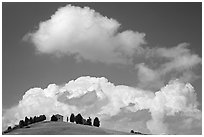 Fluffy clouds above ridge with cypress trees and house. Tuscany, Italy (black and white)
