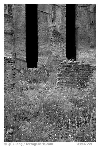 Red poppies and ruins of the Praetorium, Villa Hadriana. Tivoli, Lazio, Italy (black and white)