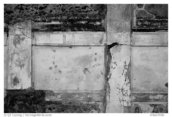 Wall detail. Pompeii, Campania, Italy (black and white)