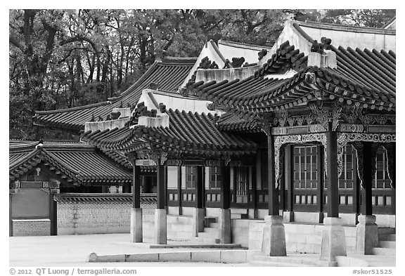 Huijeong-Dang, Changdeok Palace. Seoul, South Korea (black and white)