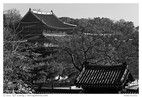 Changdeokgung Palace complex. Seoul, South Korea (black and white)