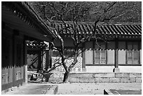 Jeongsa-cheong, Jongmyo royal ancestral shrine. Seoul, South Korea (black and white)