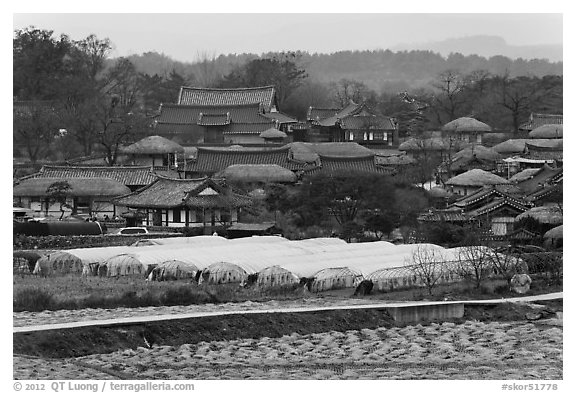 Fields, greenhouses, and village. Hahoe Folk Village, South Korea (black and white)