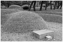 Burial mounds. Hahoe Folk Village, South Korea ( black and white)