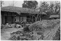 House and fence with straw roofing. Hahoe Folk Village, South Korea (black and white)