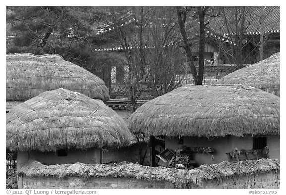 Straw roofing. Hahoe Folk Village, South Korea (black and white)