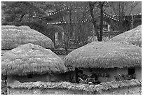 Straw roofing. Hahoe Folk Village, South Korea ( black and white)