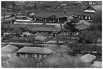 Houses seen from above. Hahoe Folk Village, South Korea (black and white)