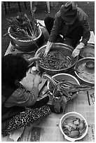 Women mixing traditional fermented kimchee. Gyeongju, South Korea (black and white)