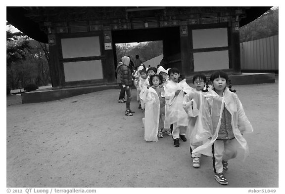 Schoolchildren with raingear, Bulguksa. Gyeongju, South Korea (black and white)
