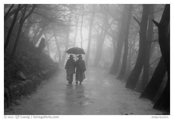 Nuns walking with unbrella on foggy path, Seokguram. Gyeongju, South Korea (black and white)