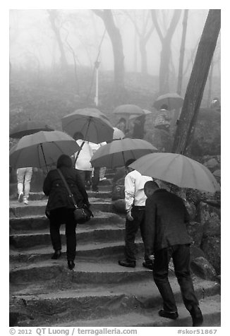 Pilgrims with red unbrellas, Seokguram. Gyeongju, South Korea (black and white)