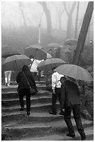 Pilgrims with red unbrellas, Seokguram. Gyeongju, South Korea (black and white)