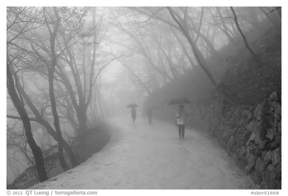 Tourist walking in fog, Seokguram. Gyeongju, South Korea (black and white)