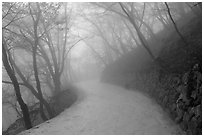 Path in fog, Seokguram. Gyeongju, South Korea (black and white)
