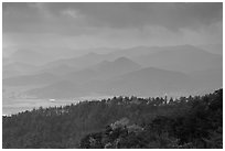 Forest slopes and distant misty hills, Mt Namsan. Gyeongju, South Korea (black and white)