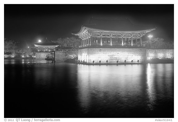 Anapji Pond at night. Gyeongju, South Korea (black and white)