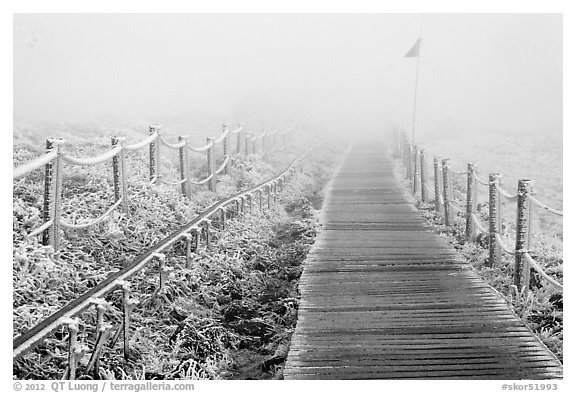 Frozen path and fog, Yeongsil trail, Hallasan. Jeju Island, South Korea
