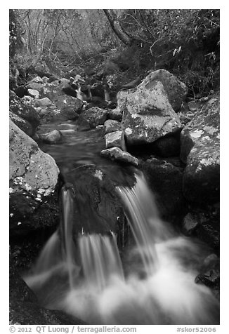 Cascading stream, Hallasan National Park. Jeju Island, South Korea (black and white)