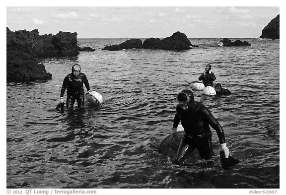 Women divers emerging from water. Jeju Island, South Korea (black and white)