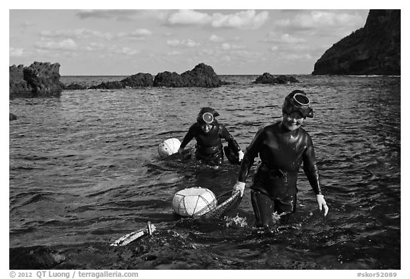 Haeneyo women walking out of water. Jeju Island, South Korea (black and white)