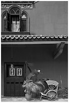 Window, door, and trishaw, Cheong Fatt Tze Mansion. George Town, Penang, Malaysia (black and white)
