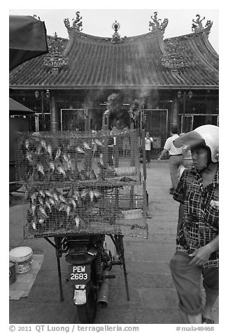 Motorcycle loaded with cage of birds (to be freed) in front of temple. George Town, Penang, Malaysia (black and white)