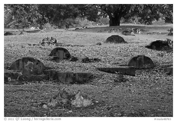 Tombs and trees, Bukit China cemetery. Malacca City, Malaysia (black and white)