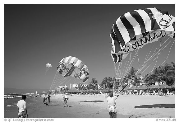 Parasails inflated on beach, Nuevo Vallarta, Nayarit. Jalisco, Mexico (black and white)