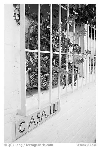 Window of home with plant and ceramic name plate, Puerto Vallarta, Jalisco. Jalisco, Mexico (black and white)