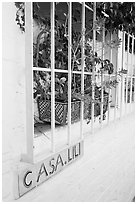 Window of home with plant and ceramic name plate, Puerto Vallarta, Jalisco. Jalisco, Mexico (black and white)
