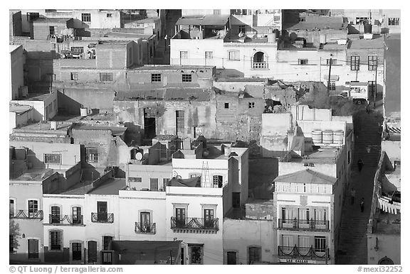 Houses and Cajaon de Garcia Rojas. Zacatecas, Mexico (black and white)