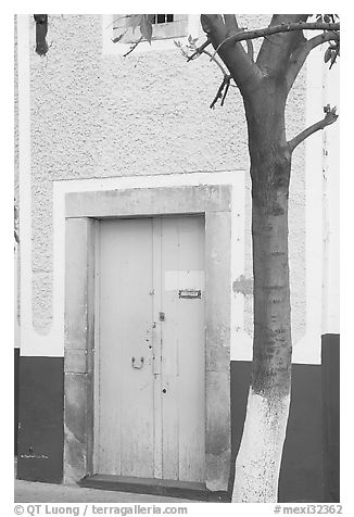 Door and tree. Guanajuato, Mexico (black and white)