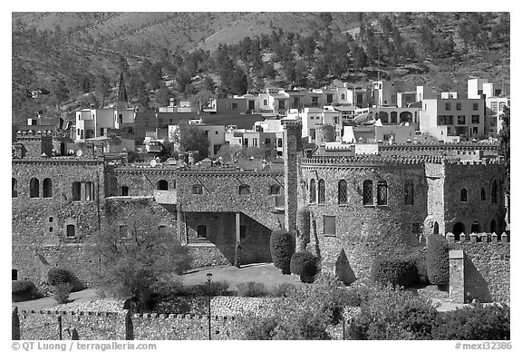 Castle and colorful houses. Guanajuato, Mexico (black and white)