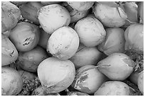 Coconuts. Mexico (black and white)