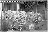 Floral wheels in a cemetery. Mexico ( black and white)