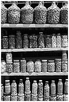 Jars of preserved pickles. Baja California, Mexico (black and white)