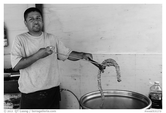 Man making churros. Baja California, Mexico (black and white)