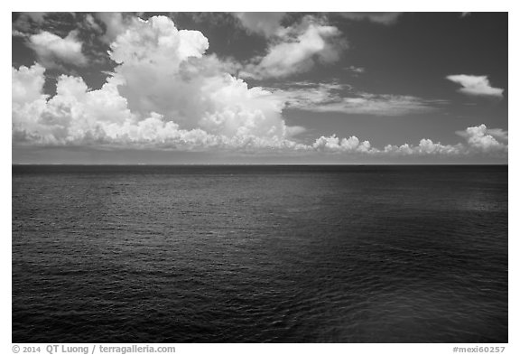Blue Gulf waters. Cozumel Island, Mexico (black and white)