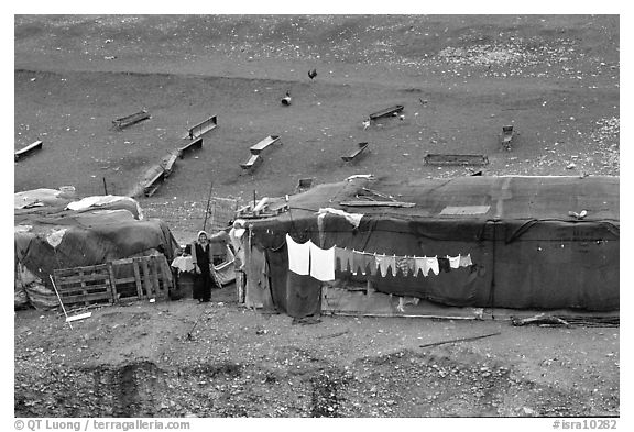 Bedouin camp, Judean Desert. West Bank, Occupied Territories (Israel) (black and white)
