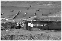 Bedouin camp, Judean Desert. West Bank, Occupied Territories (Israel) ( black and white)