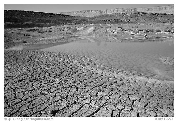 Cracked mud and shallow pond, near Mitzpe Ramon. Negev Desert, Israel (black and white)