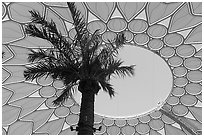 Looking up Al Wasl. Expo 2020, Dubai, United Arab Emirates ( black and white)