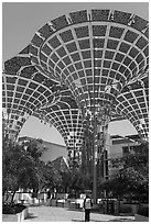 Floral-inspired shade structures in Mobility District. Expo 2020, Dubai, United Arab Emirates ( black and white)