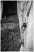 Valerio Folco leaving  the belay. El Capitan, Yosemite, California (black and white)