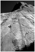 Jugging back to Sickle. Only 34 pitches to go !. El Capitan, Yosemite, California (black and white)