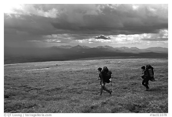 Two backpackers seen from the side walking fast in the tundra. Lake Clark National Park, Alaska