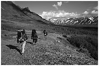 Backpackers with big  packs walking on the tundra. Lake Clark National Park, Alaska (black and white)