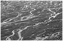 Braids of the Mc Kinley River near Eielson. Denali National Park, Alaska, USA. (black and white)