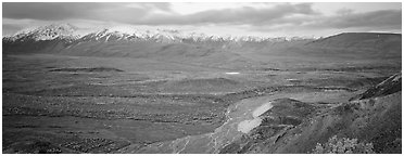 Wide mountain valley with braided river. Denali  National Park (Panoramic black and white)